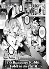 Сбежавший кролик, которого я встретил под дождем 1 обложка